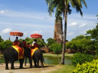 Thai Girl Elephant Ride