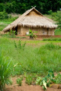 Thai Wife Village house 01