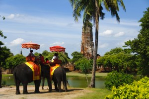 Thai Girl Elephant Ride